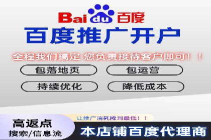 案例分析：SEM广告助力电商行业突破